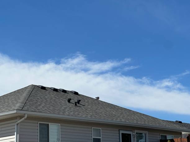 Best Storm Damage Roof Repair  in Chillicothe, OH